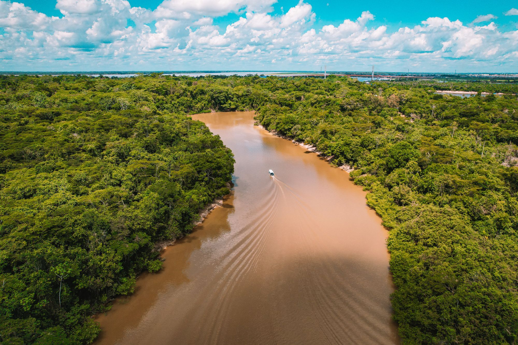 Rio barrento cortando a floresta amazônica, visto de cima